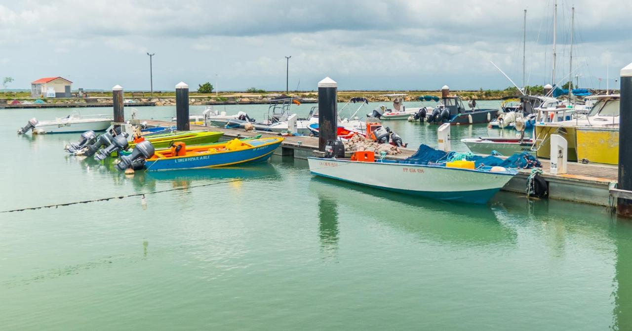 Studio Jacuzzis Et Piscine Au Centre Ville De Port-Louis Eksteriør bilde